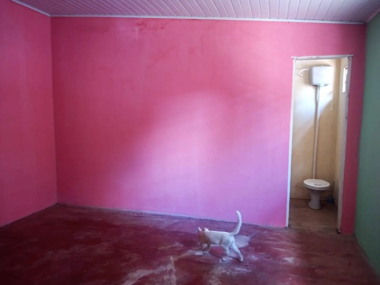 Imagem Casa 2 quartos, e espaço Comercial anexo. Terreno amplo com quintal.