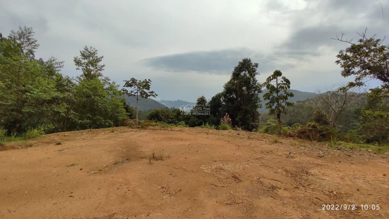Imagem Sítio a VENDA, com várias lindas cachoeiras, a 4Km da SC 108, de fácil acesso. Lugar Maravilhoso em meio a natureza! Propriedade ótima para investime