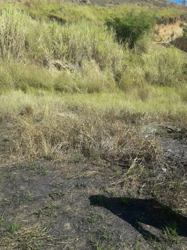 Imagem Terreno à venda 250M², Itaguaçú, Aparecida - SP