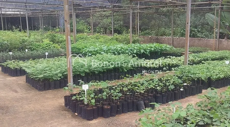 Imagem Terrenos à venda no Jardim Flamboyant - Paulínia/SP | Zona mista | Excelente localização