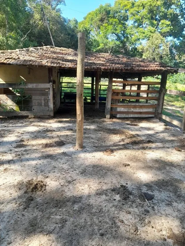Imagem Vendo excelente sítio em Bonfim/MG ,com 9 hectares de área total (90.000 m²),