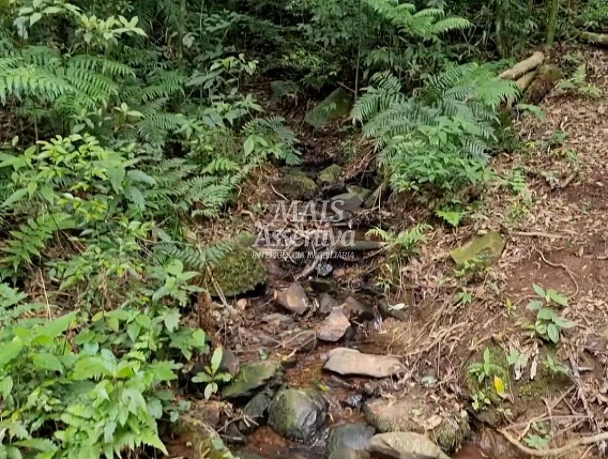 Imagem Sítio para Venda em São Francisco De Paula / RS no bairro Centro