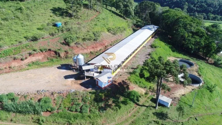 Imagem Área Agrícola para Venda em Lindóia do Sul, Rural