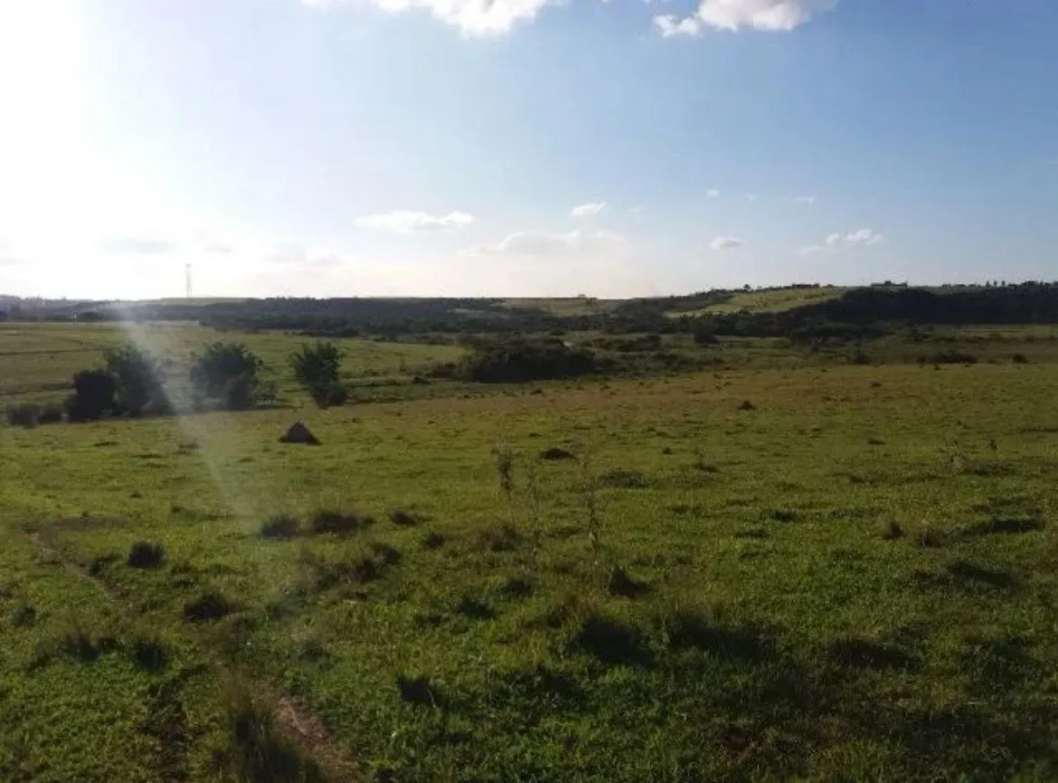 Imagem Área de 276 mil m² na Rodovia Sorocaba?Iperó ? Ideal para Loteamentos