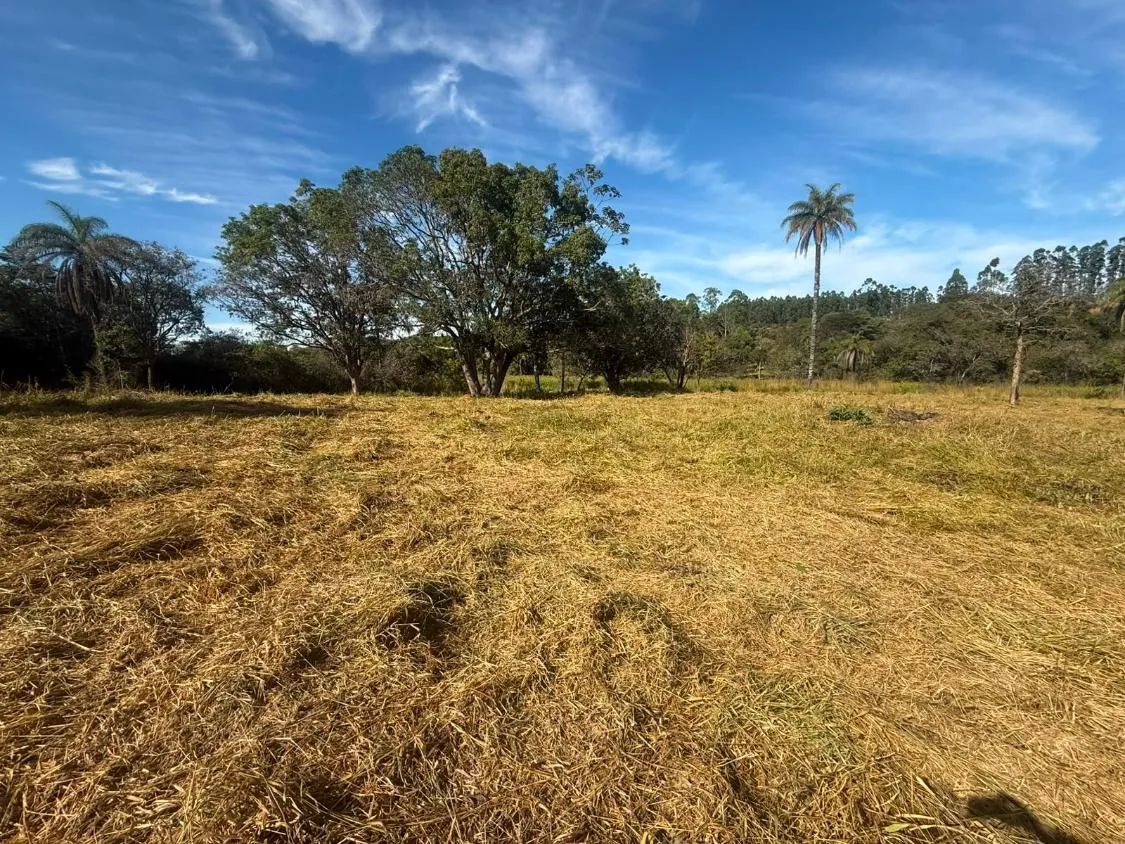 Foto do imóvel FAZENDA À VENDA EM CARMÓPOLIS DE MINAS /Área total: 315 hectares