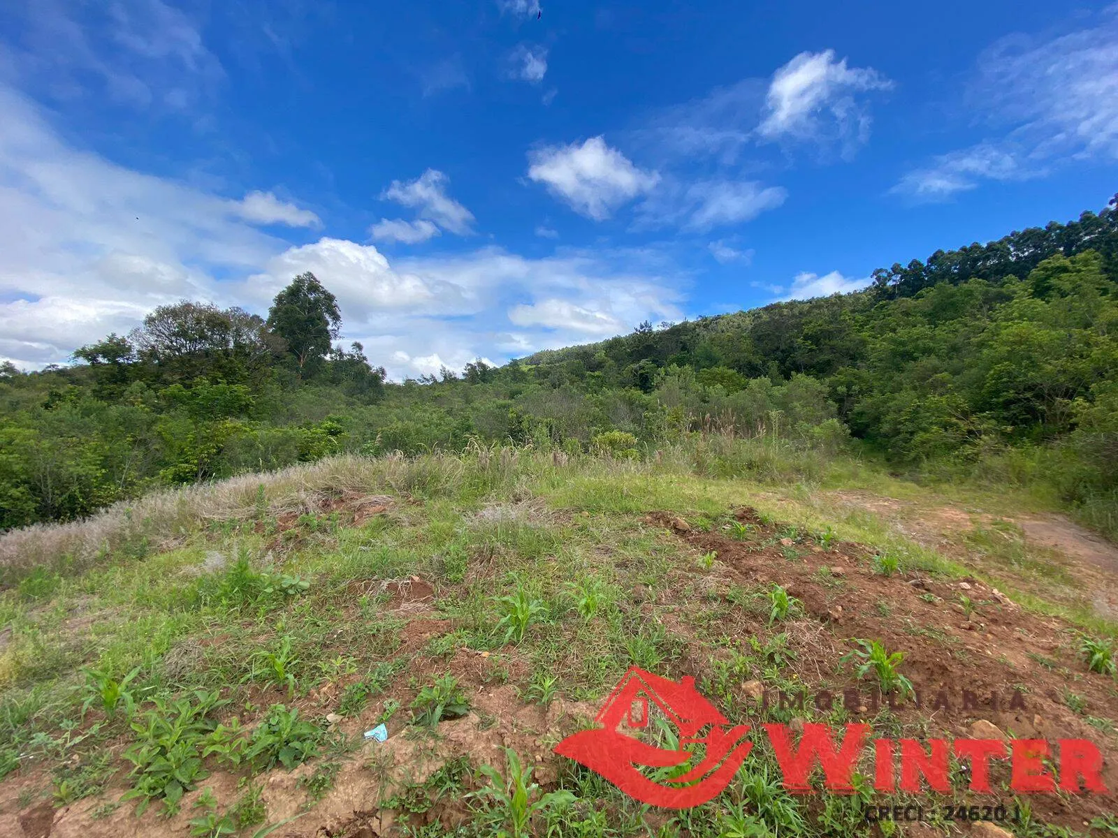 Imagem Área de terras com 6,3 hectares em São Roque, Feliz.