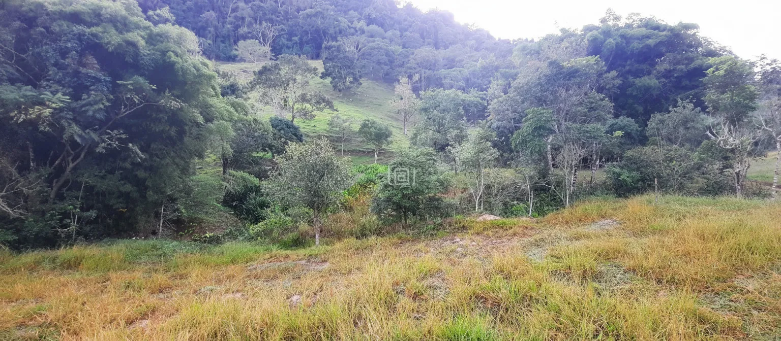Imagem Sítio à venda em Córrego das Foices, Bandeira do Sul