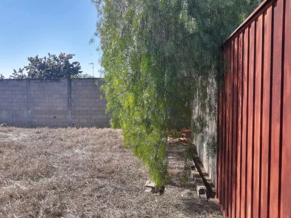 Imagem Terreno Padrão
