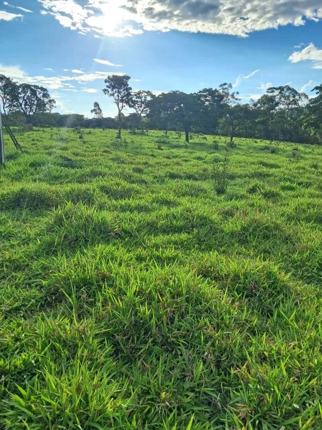 Imagem VENDE-SE FAZENDA EM PASSA TEMPO / MG área total de 100 hectares