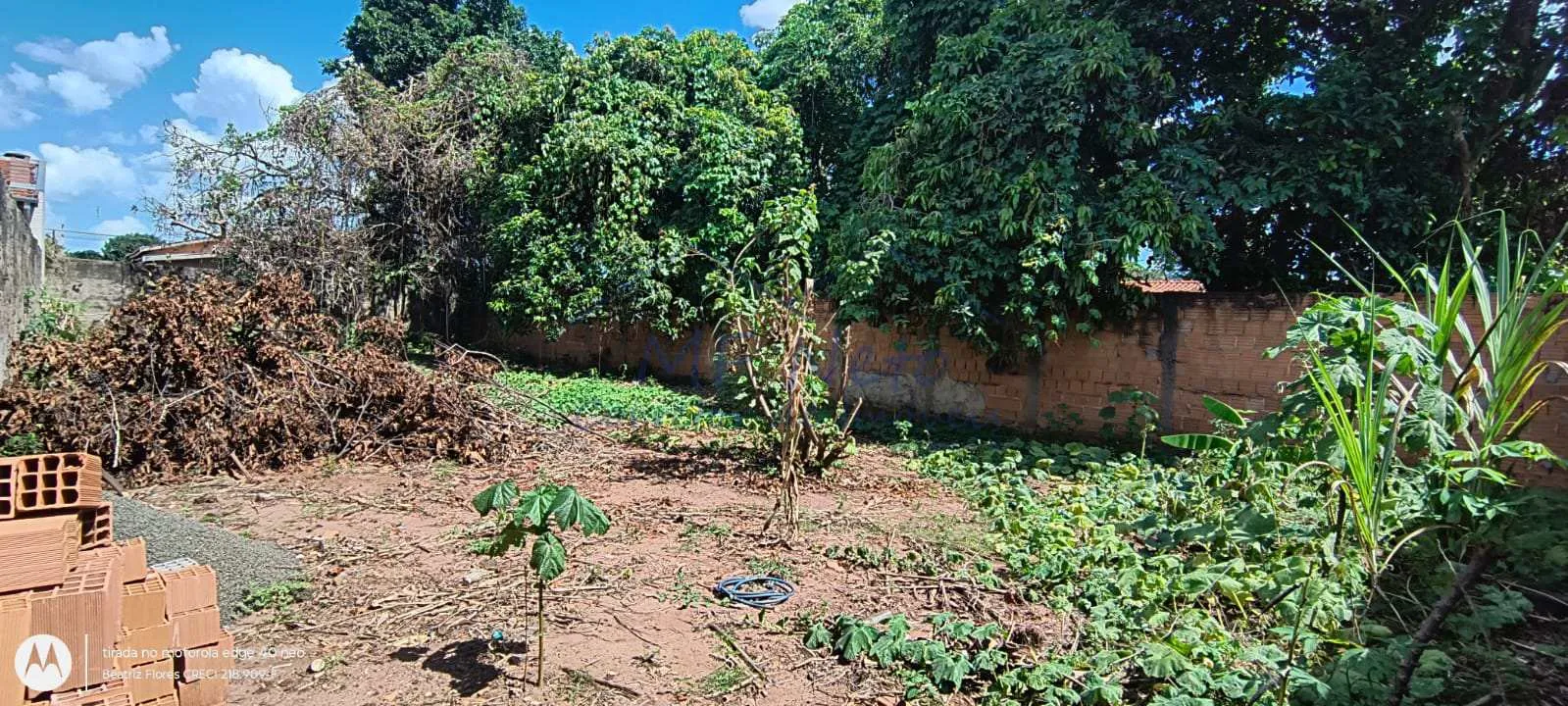Imagem Terreno Padrão
