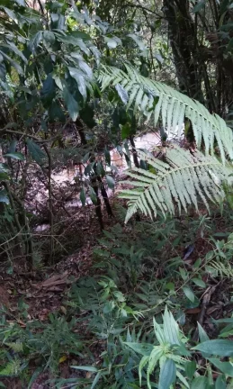 Imagem Área Rural Mairiporã lazer e moradia