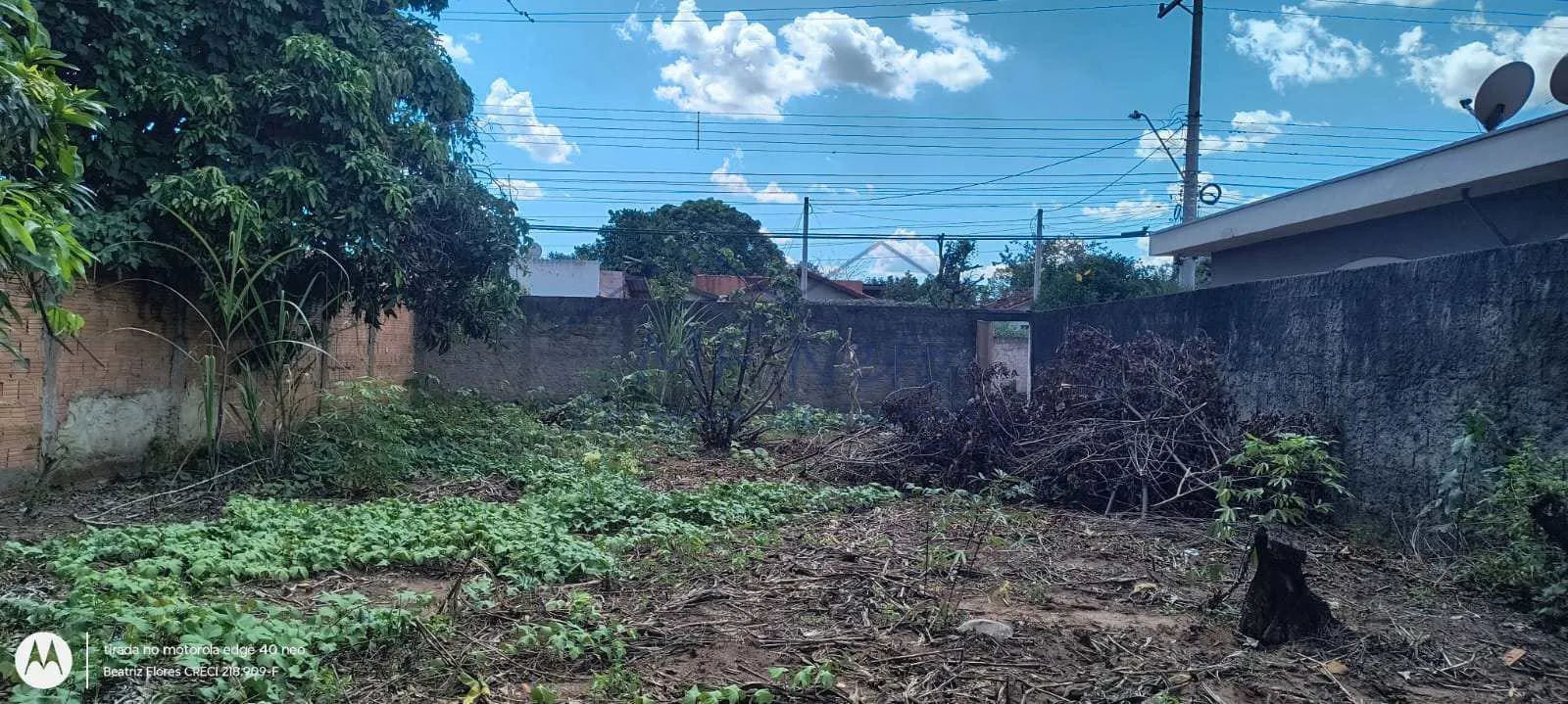 Imagem Terreno Padrão