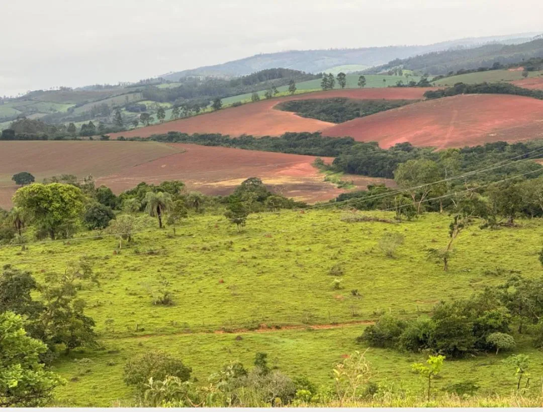 Imagem FAZENDA À VENDA - ENTRE RIOS DE MINAS 500 hectares de terra