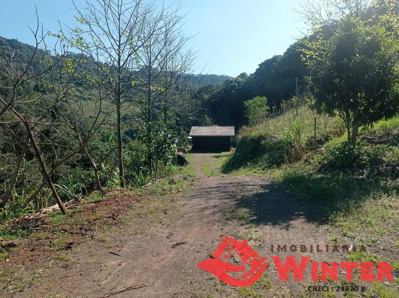 Imagem Chácara com 1,8hectares Canto Dewes, Alto Feliz.