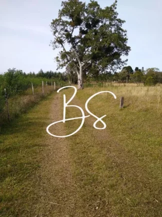 Imagem AREA RURAL em GRAMADO - RS, Centro