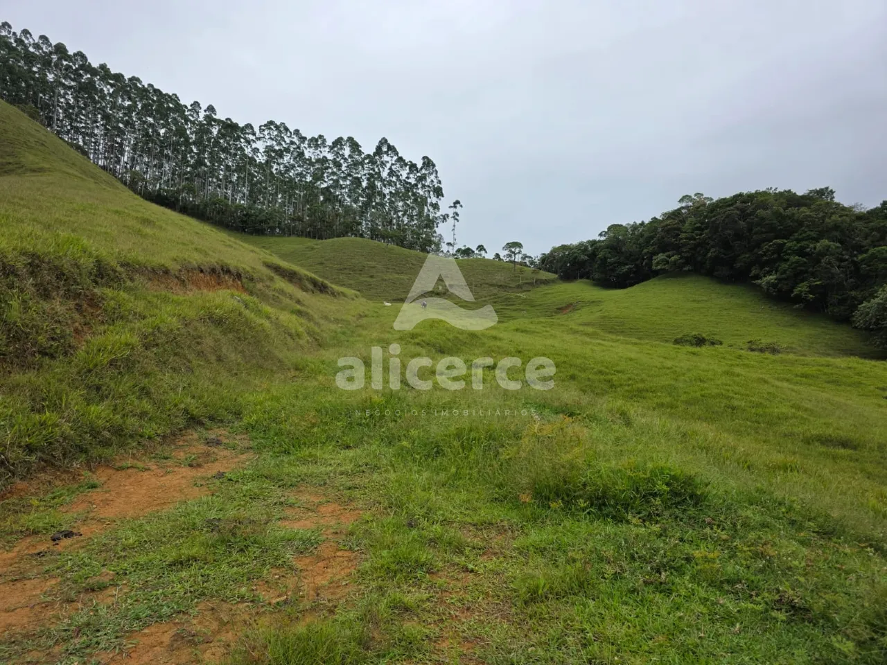 Imagem Sítio à venda em Antônio Carlos, SC, na Zona Rural - Morro da Gloria.