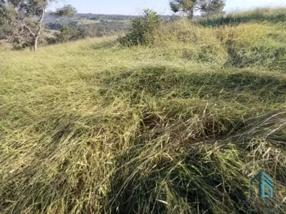 Imagem Fazenda em Abadiânia, muita água (permuta total se for em Goiânia) GOIANIA - GO