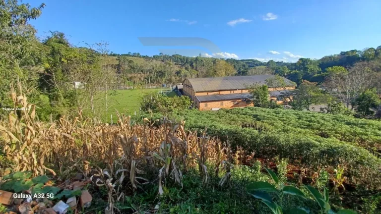 Imagem Chácara para Venda em Concórdia, Área Rural de Concórdia, 4 dormitórios, 1 suíte, 4 banheiros, 2 vagas