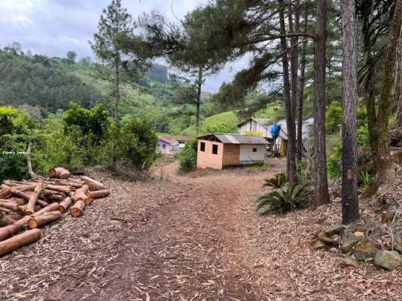 Imagem Área Agrícola para Venda em Ipumirim, Interior, 3 dormitórios, 1 banheiro, 2 vagas