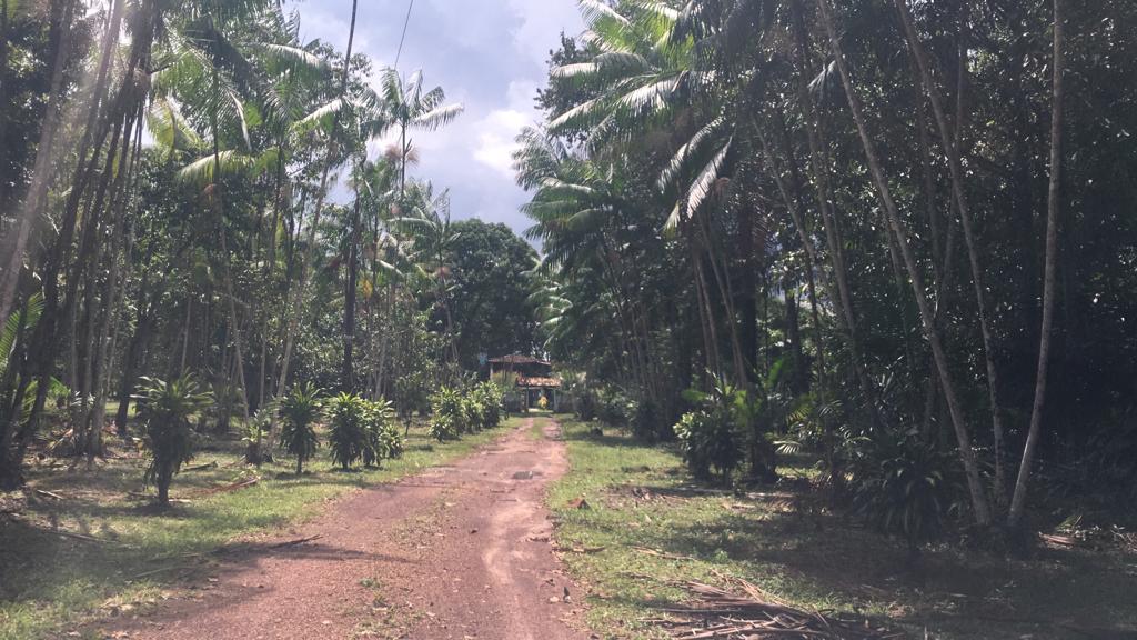 Imagem Terreno à Venda, 80000 m² em Decouville - Marituba