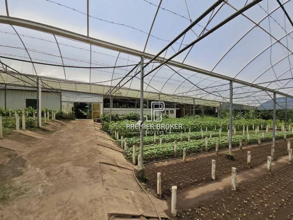 Imagem Sítio à venda, 338800 m² por R$ 2.600.000,00 - Ponte Nova - Teresópolis/RJ