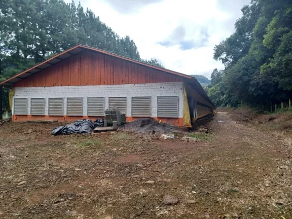 Imagem Área Agrícola para Venda em Ipumirim, Rural