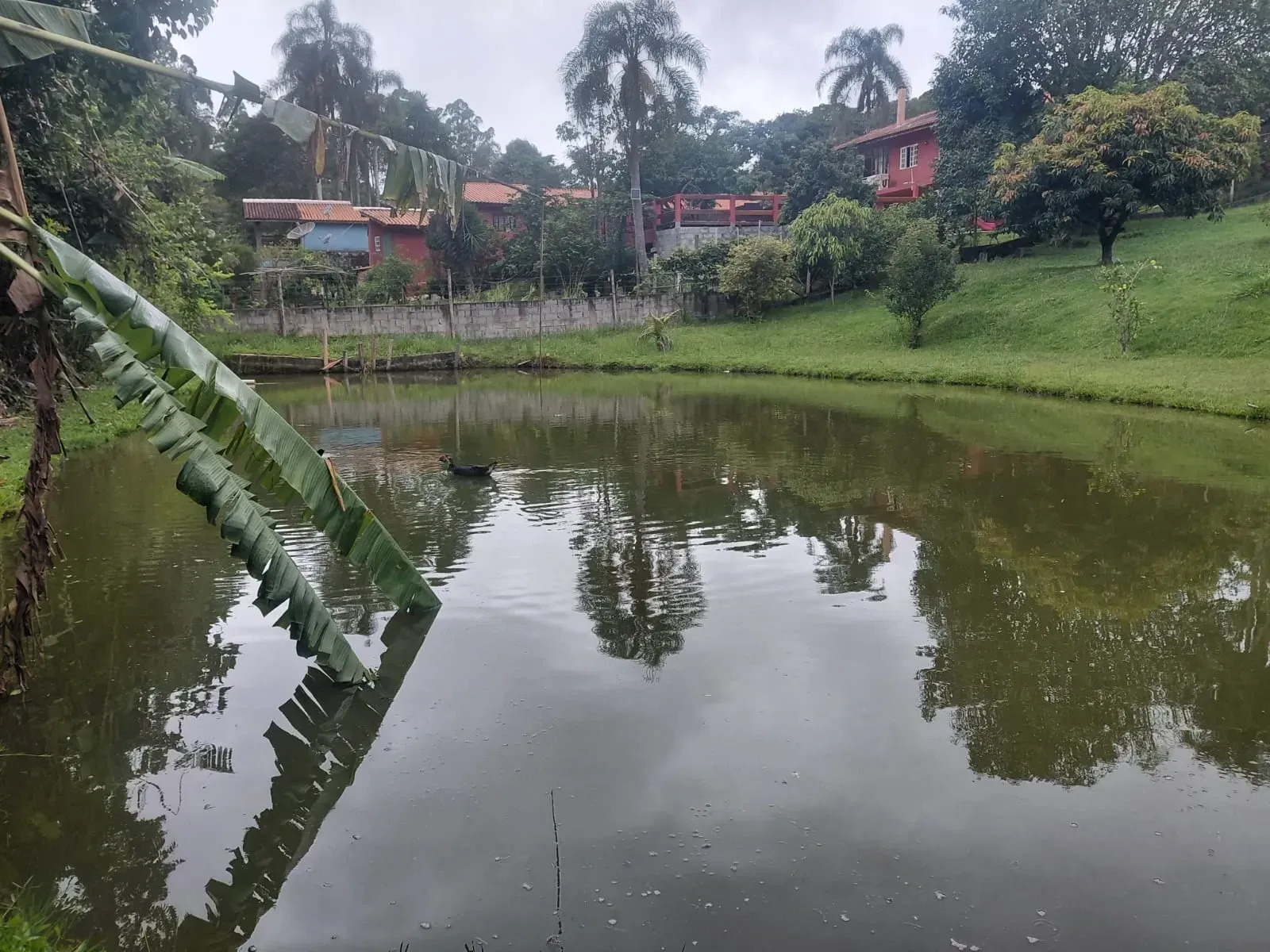 Imagem Chácara com 5 Quartos à Venda, 1770 m² em Remanso I - Vargem Grande Paulista
