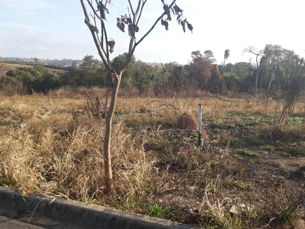 Imagem Terreno localizado no Éden - Comercial/Industrial