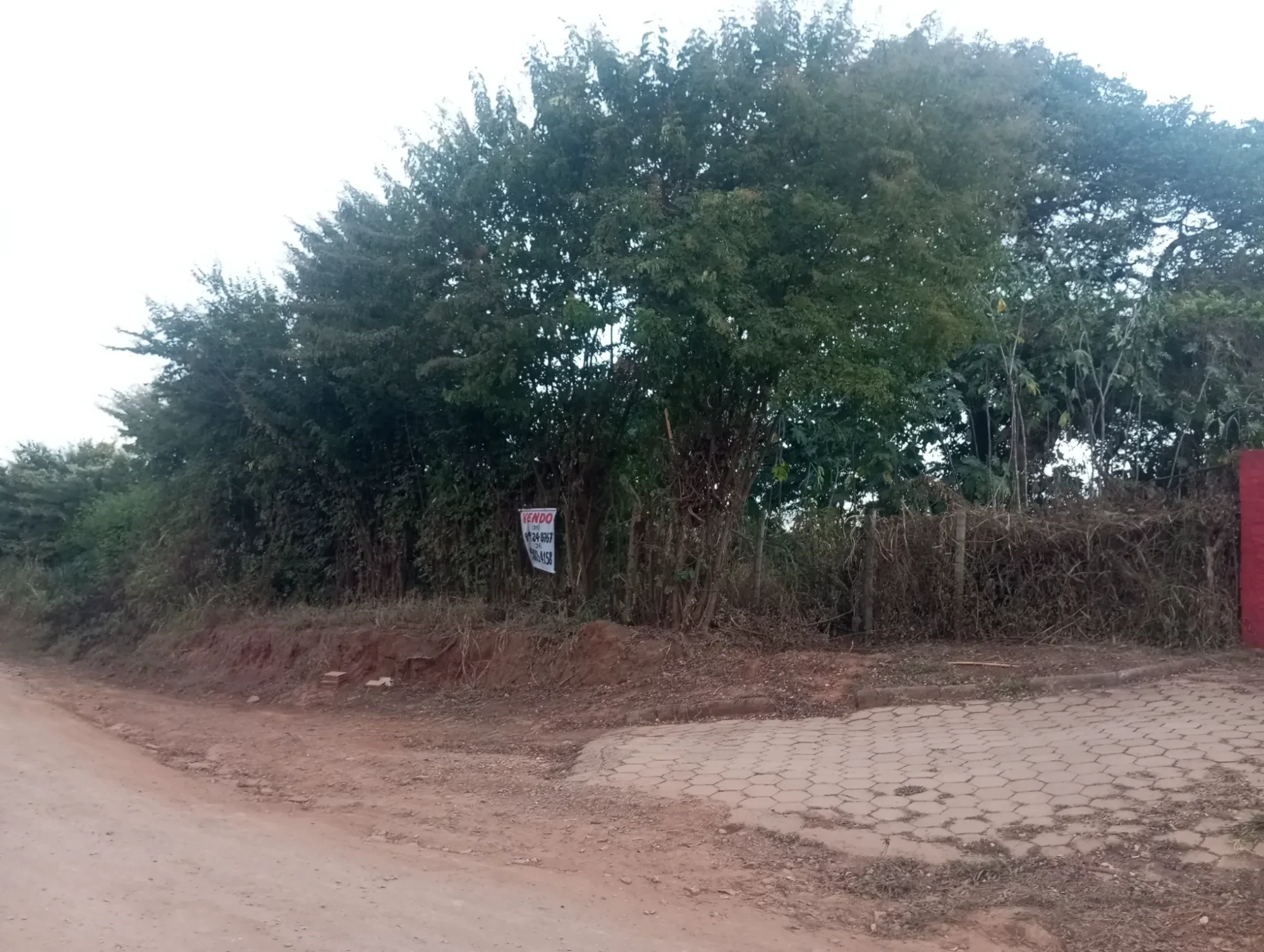 Imagem Terreno à Venda, 2000 m² em Pedro Leopoldo - Pedro Leopoldo