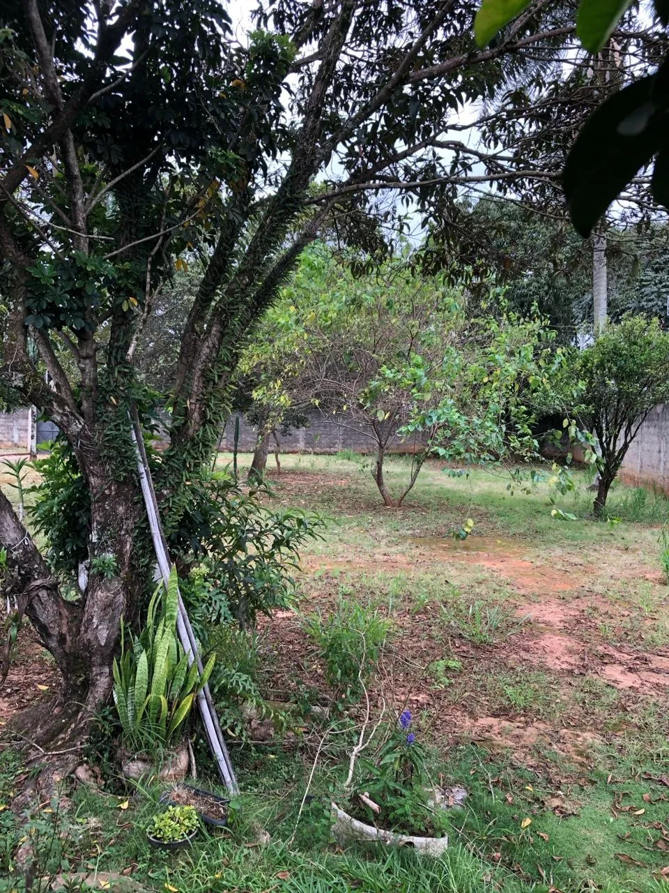 Imagem Excelente Terreno de 2290m², Localizado no Centro de Araçoiaba da Serra!