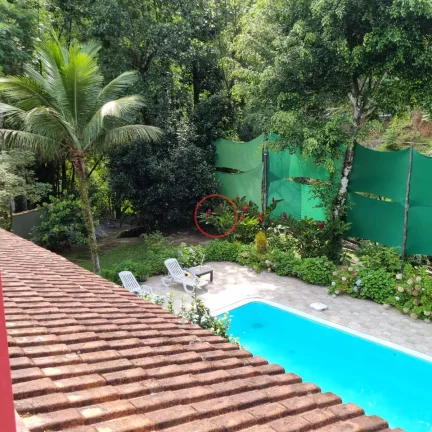 Imagem CASA COM 3 QUARTOS , SALA ESTAR ,SALA DE JANTAR, PISCINA, LAVANDERIA , ACESSO AO RIO ,BANHEIROS, LAVABO,3 VAGAS,974 mt de terreno