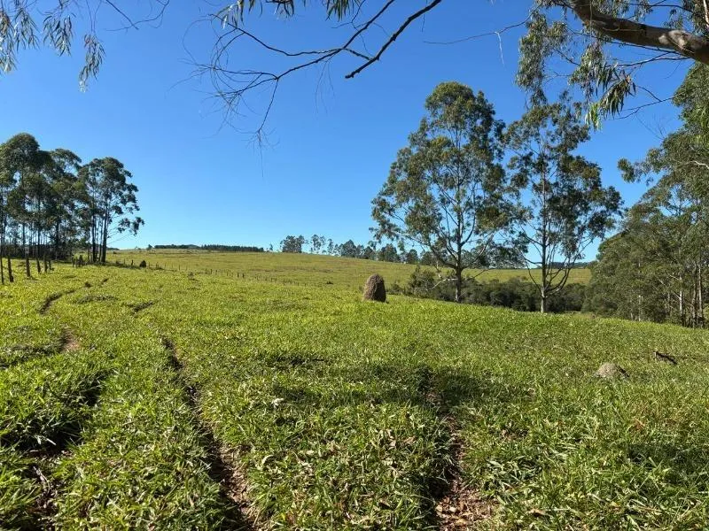 Imagem FAZENDA À VENDA - DESTERRO DE ENTRE RIOS (MG) 51 hectares de área total