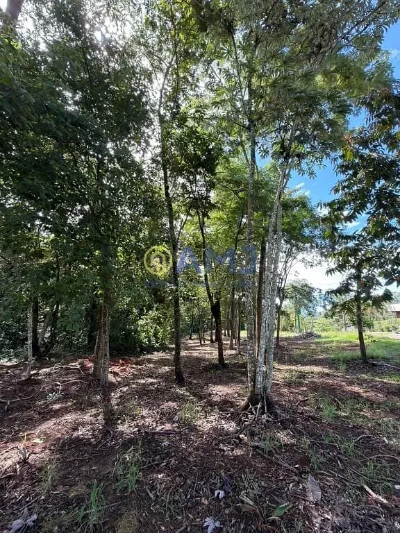 Imagem LOTE À VENDA | COND. COUNTRYVILLE - HIDROLÂNDIA/GO