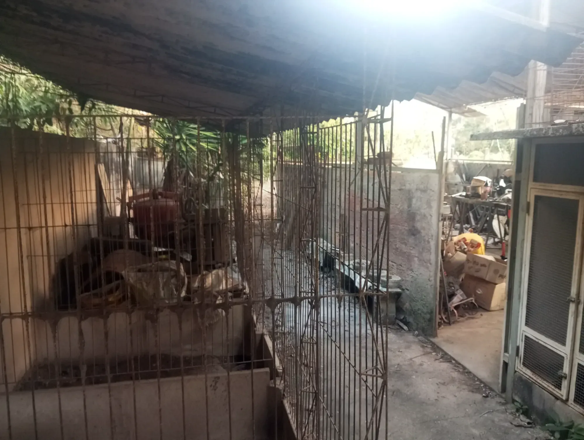 Imagem Chácara com 5 Quartos à Venda, 8.000 m² em Ravenópolis (Ravena) - Sabará