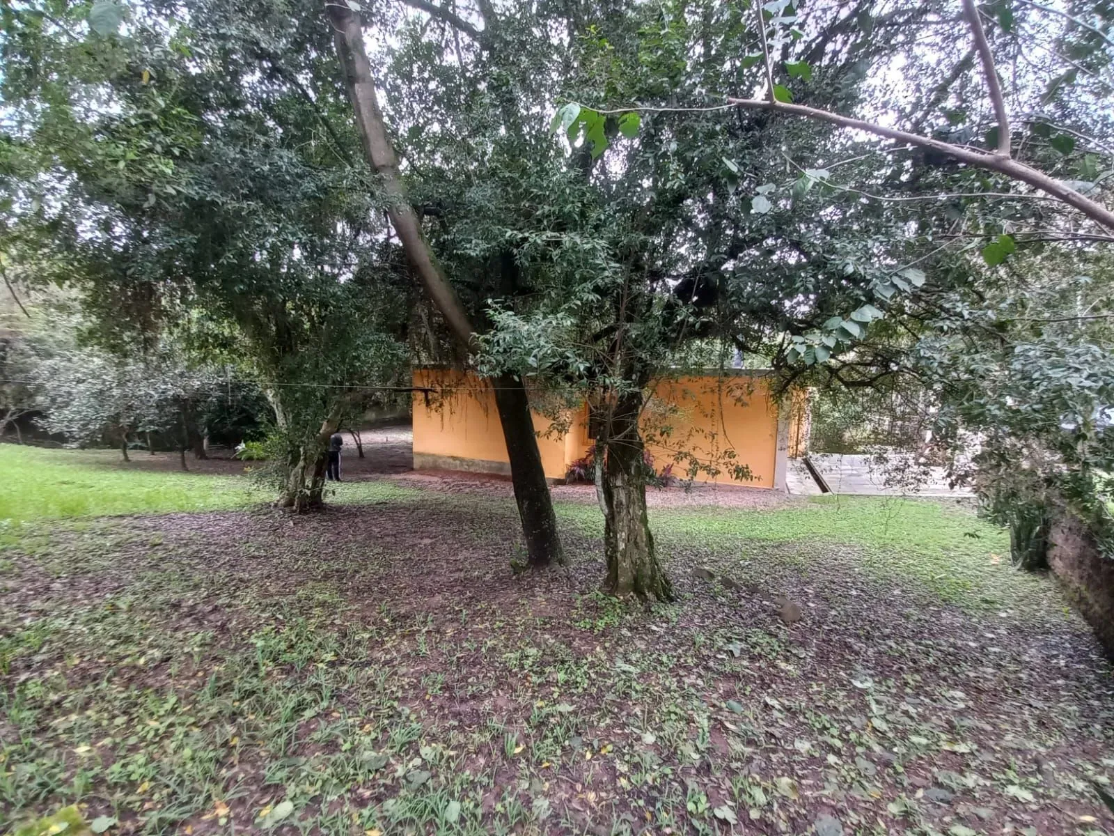 Imagem Casa com 2 dormitórios - 1 suíte - Viamão