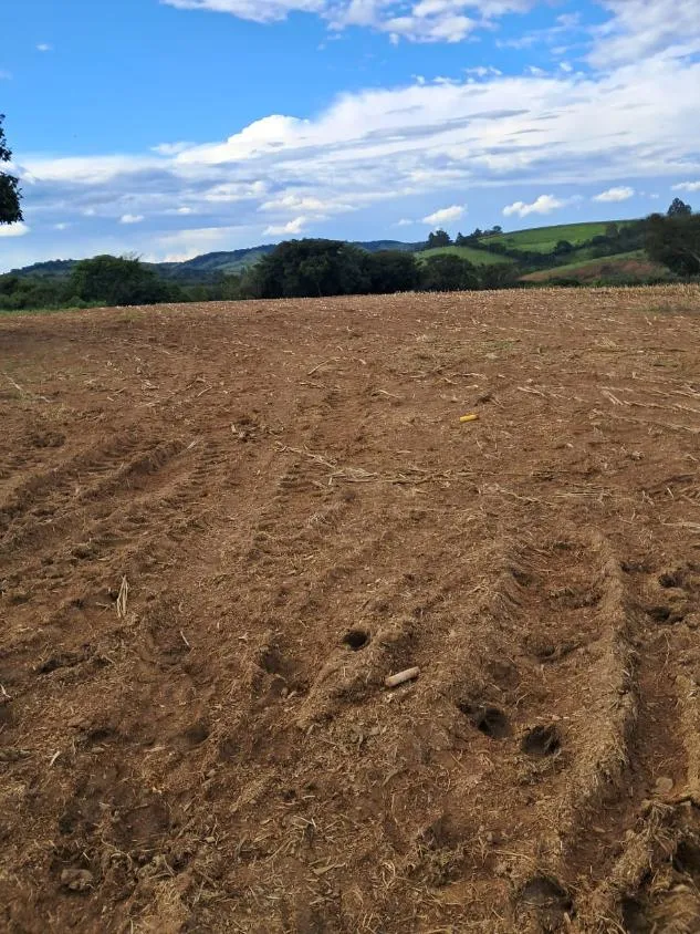 Imagem VENDE-SE FAZENDA EM PASSA TEMPO / MG área total de 100 hectares