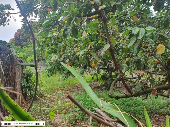Imagem SITIO COMERCIAL em RIO DE JANEIRO - RJ, CAMPO GRANDE