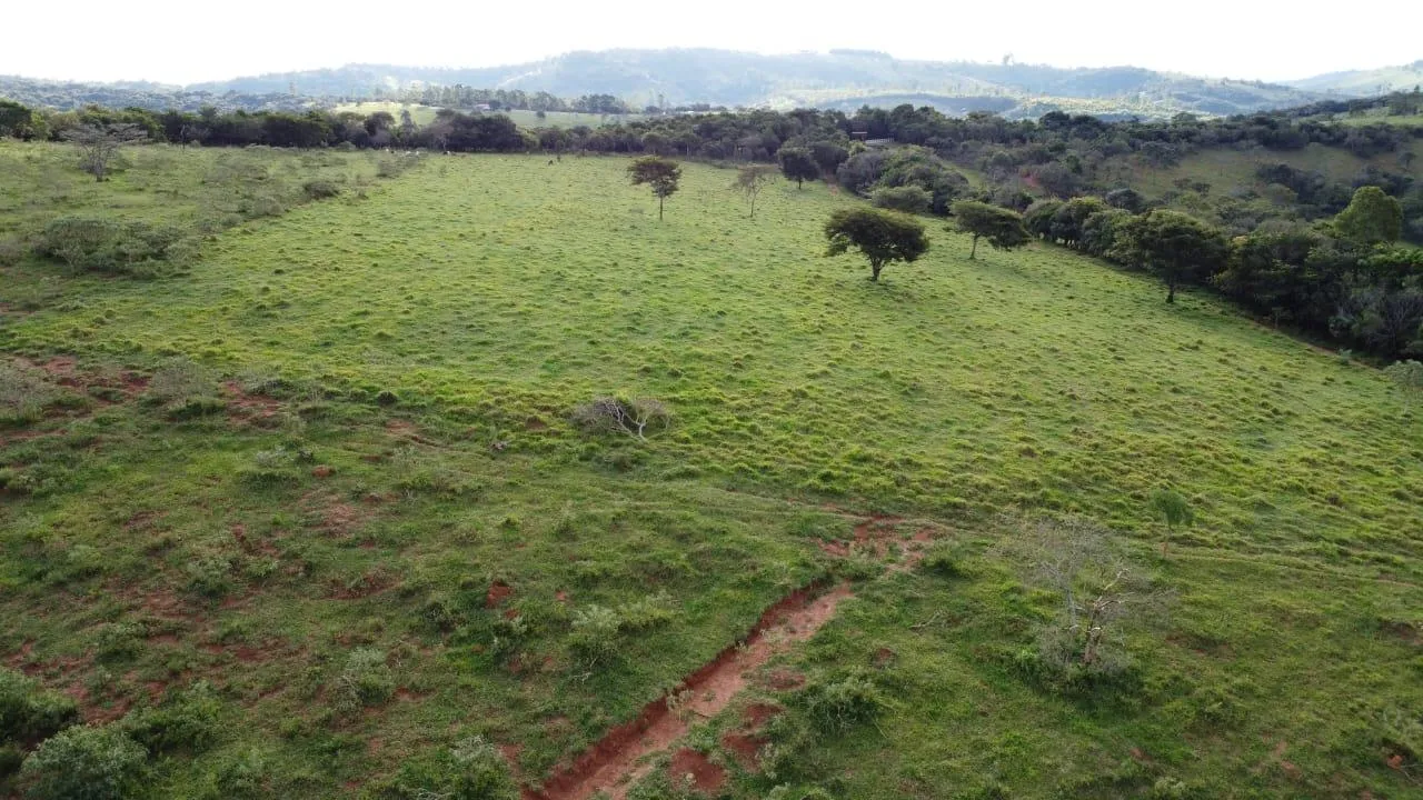 Imagem Excelente terreno rural à venda em Passa Tempo/MG 50 hectares de terra