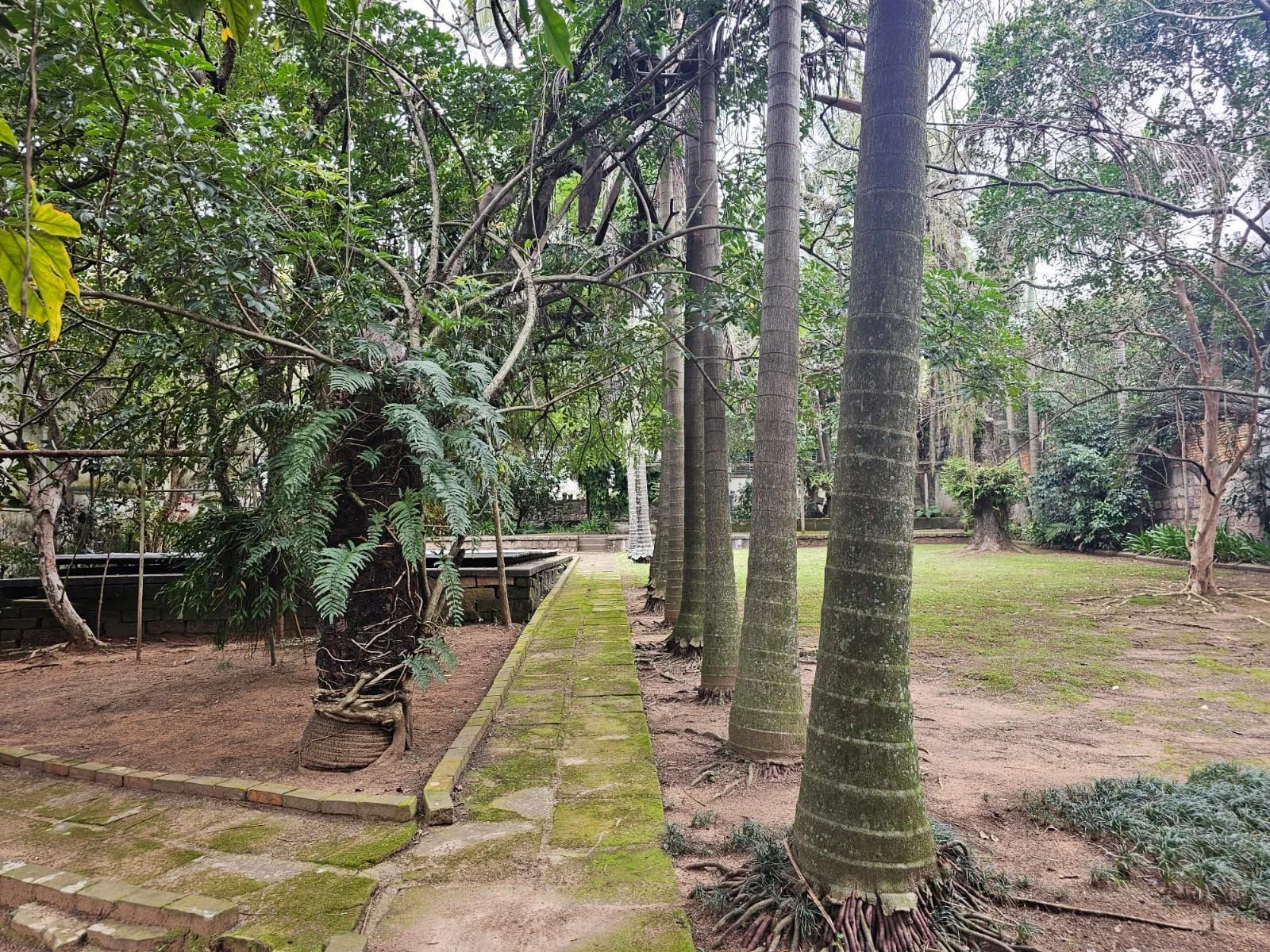 Imagem Terreno próprio para construção de condomínio de casas ou apartamentos