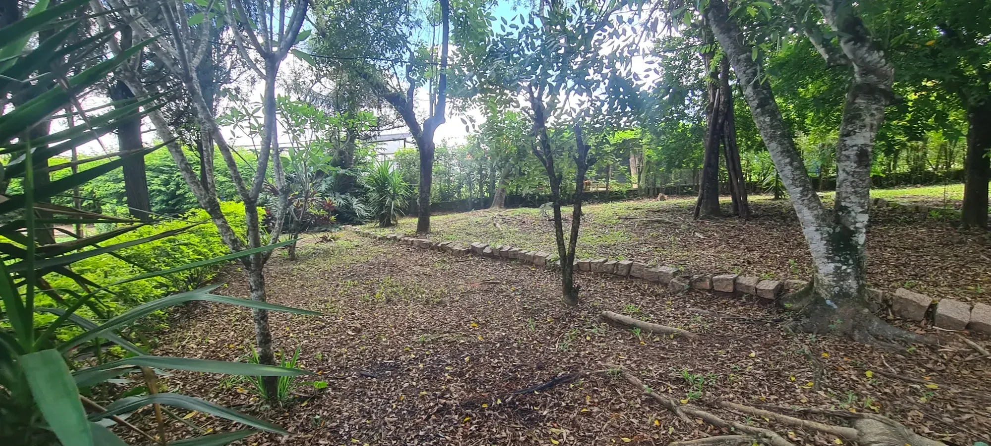 Foto do imóvel: Chácara com 3 Quartos à Venda, 367 m² em Área Rural de Cesário Lange - Cesário Lange