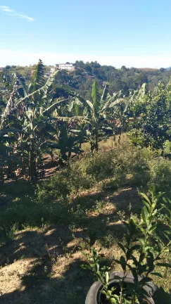 Imagem Terreno à Venda, 14.000 m² em Parque Recanto Mônica - Itaquaquecetuba