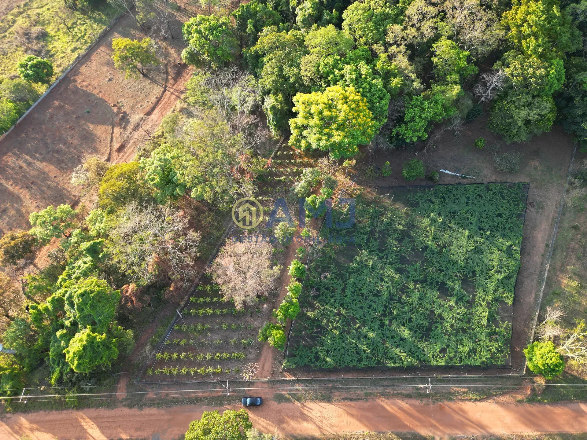 Foto do imóvel DUAS CHÁCARAS VIZINHAS À VENDA | HIDROLÂNDIA/GO em Endereço não informado
