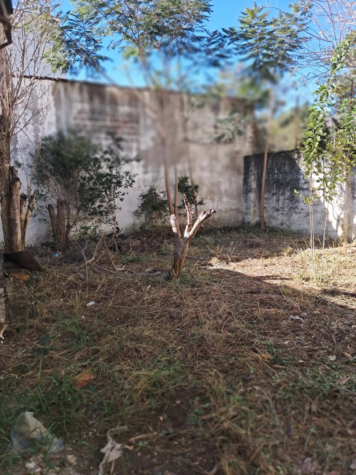 Imagem Terreno 11x29