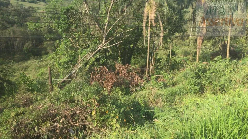 Imagem Terreno para Venda em Campo Bom / RS