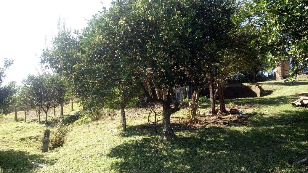 Imagem Chácara para Venda em Taquara / RS no bairro Santa Cruz da Concórdia
