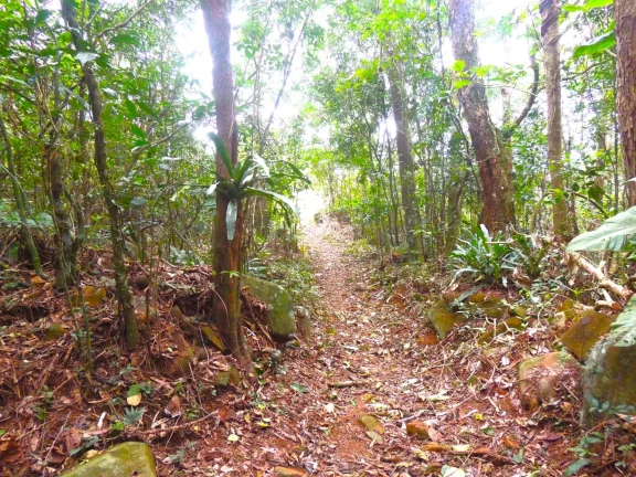 Imagem Terreno à venda em Garopaba-SC, bairro Macacu, 46.578,61m², com vista para Lagoa e Mar!