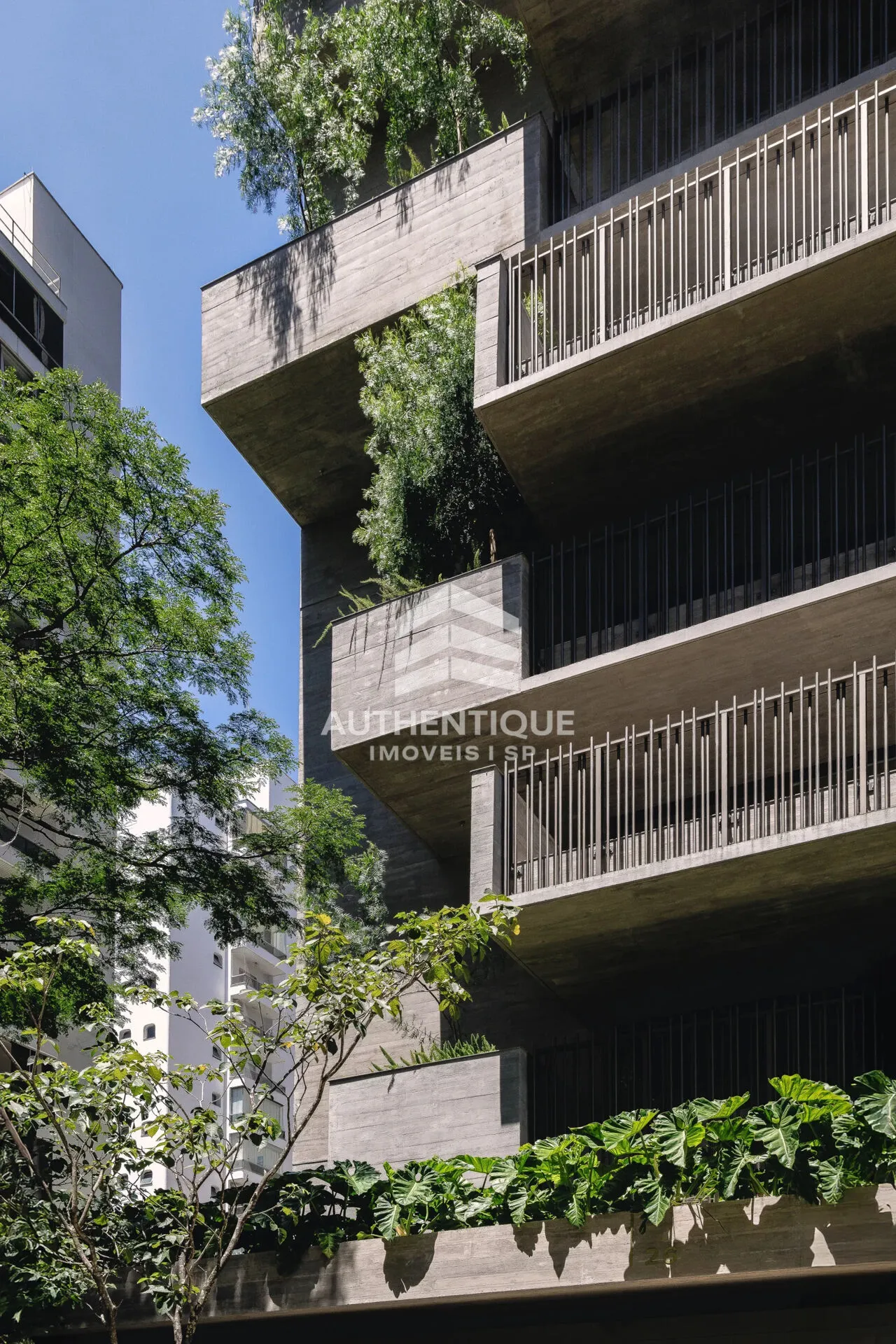 Imagem Ibaté - Apartamento à venda no bairro Moema - São Paulo/SP, Zona Sul