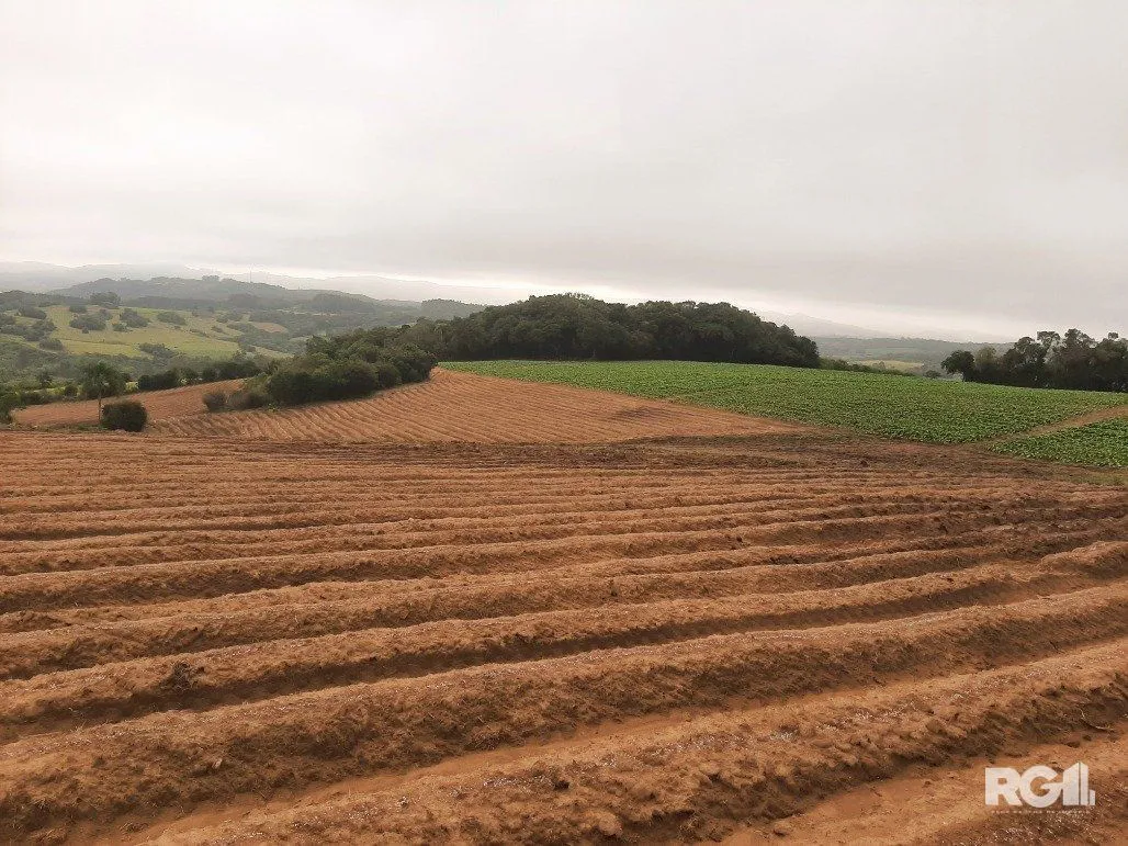 Imagem Area de terras cultivaveis