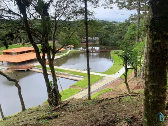 Imagem Chácara linda, açude grande, poço artesiano, 150 metros do asfalto, em Campina grande do sul, PR