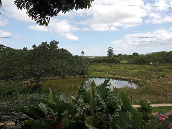 Imagem Sítio Rural com 3.6 hectares, açude, localizado no Capão da porteira